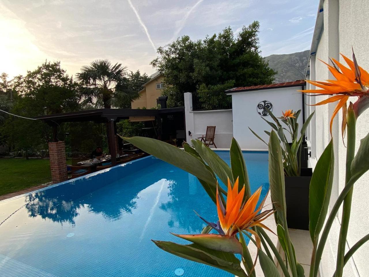 Villa Nikola *